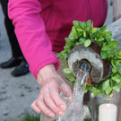 IMG_3204_JPG-1368429783