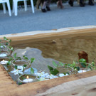 IMG_3550_JPG-1368429834