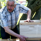 Bienen stachelnah erleben!