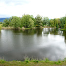 09.JPG