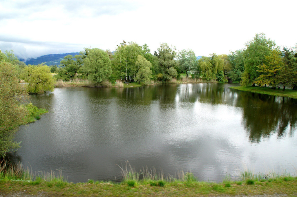 09.JPG
