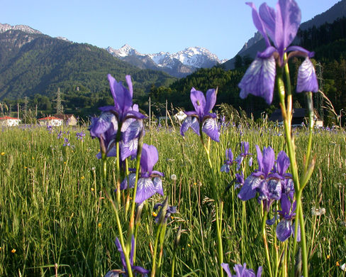 DSCN4810.jpg