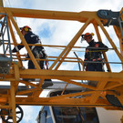 Feuerwehr rettet in Wien-Favoriten Krähennest mit zwei Jungtieren