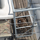 13052013_BF_Wien_MA_68_Lichtbildstelle _7_.JPG