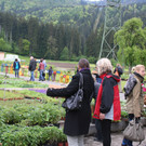 grilla_jpg 054_jpg-1368444435