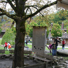 grilla_jpg 074_jpg-1368444586
