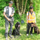 FF-Tag3Hunde_jpg-1368448357