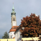 Abendmarkt H__chst 11-05-2013 65_jpg-1368452092