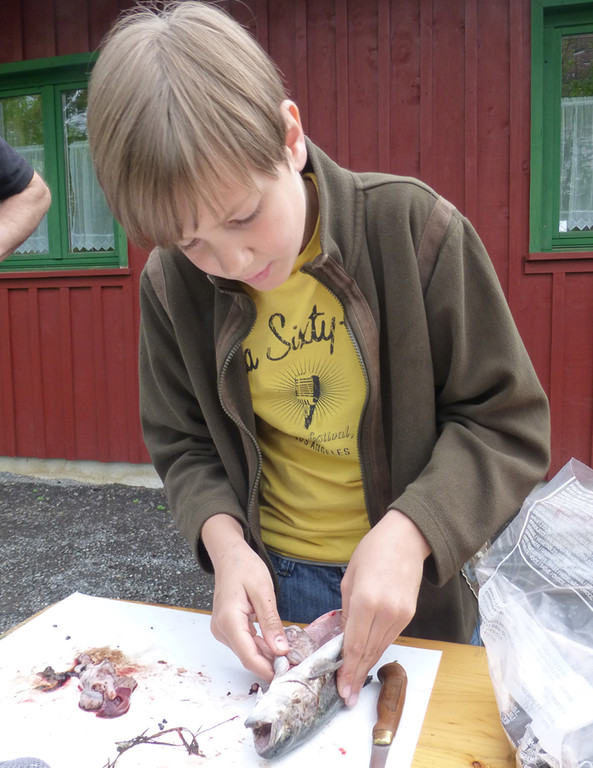 Filet11_jpg-1368458212