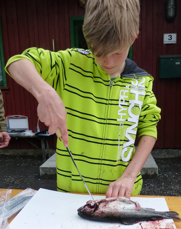 Filet13_jpg-1368458275