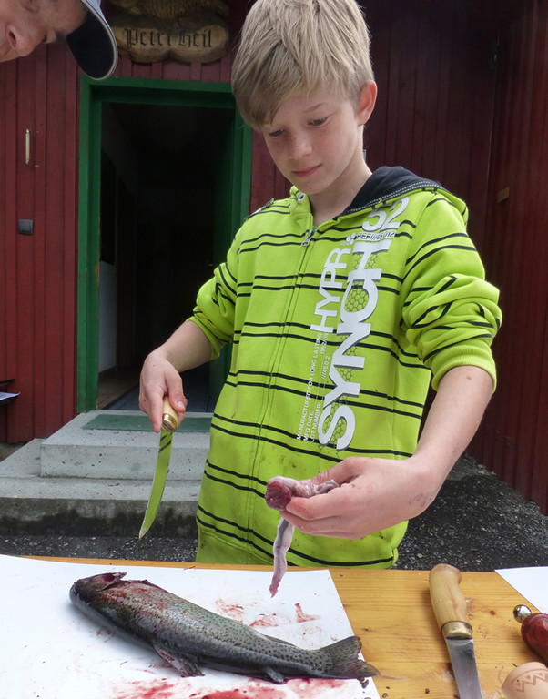 Filet13a_jpg-1368458286
