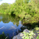 Sauwinkel02.JPG