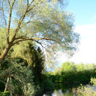 Sauwinkel04.JPG