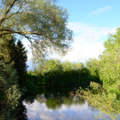 Sauwinkel08.JPG