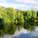 Sauwinkel28.JPG