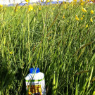 Foto12.JPG
