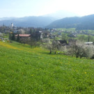 1024x768_bestfit_jpg-1368528832