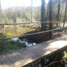 1024x768_bestfit _3__jpg-1368528810