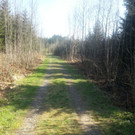 1024x768_bestfit _4__jpg-1368528813