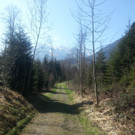 1024x768_bestfit _5__jpg-1368528816