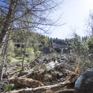 ABD0130-20130514.jpg