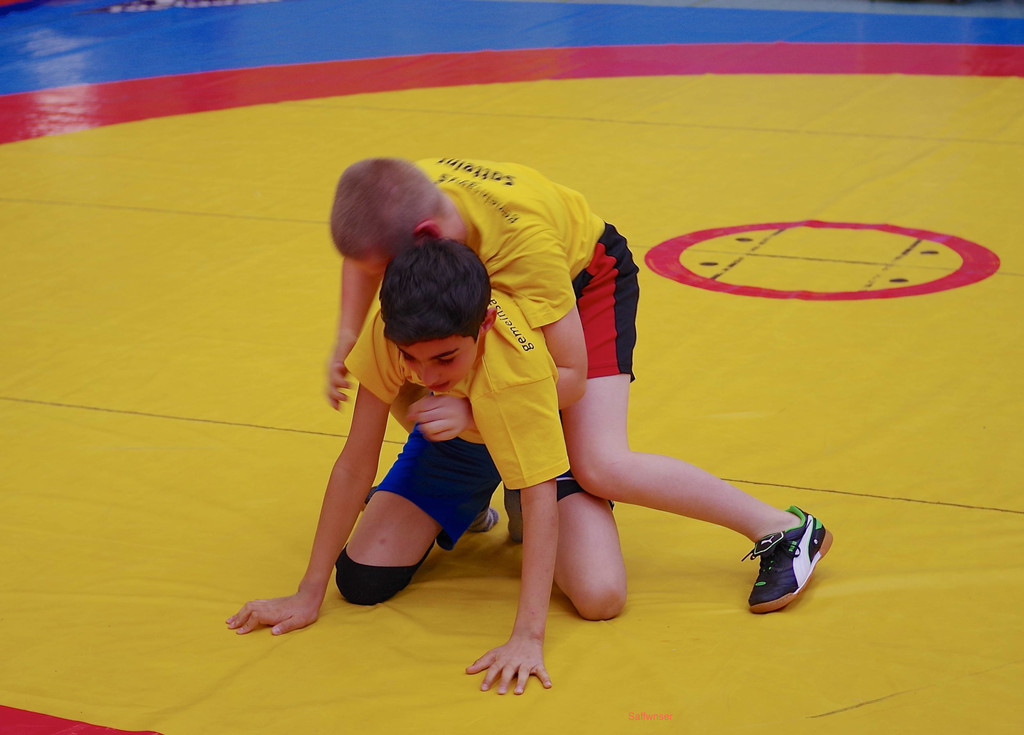 Satteinser Duell_jpg-1368554887