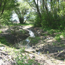 rheintalbinnenkanal-24_jpg-1368561248