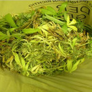 13_05_2013 PI Korneuburg 1.jpg