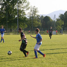 IMG_8549_JPG-1368623179