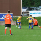 IMG_8587_JPG-1368623798