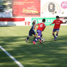 IMG_8439_JPG-1368624303