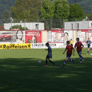 IMG_8445_JPG-1368624317