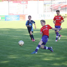 IMG_8446_JPG-1368624319