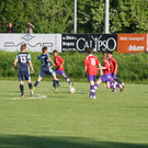 IMG_8449_JPG-1368624327