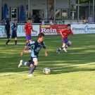 IMG_8461_JPG-1368624351