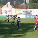 IMG_8466_JPG-1368624361