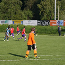 IMG_8477_JPG-1368624378