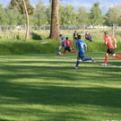 IMG_8481_JPG-1368624380