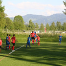 IMG_8494_JPG-1368624725
