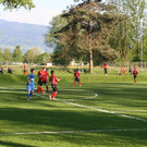 IMG_8497_JPG-1368625008