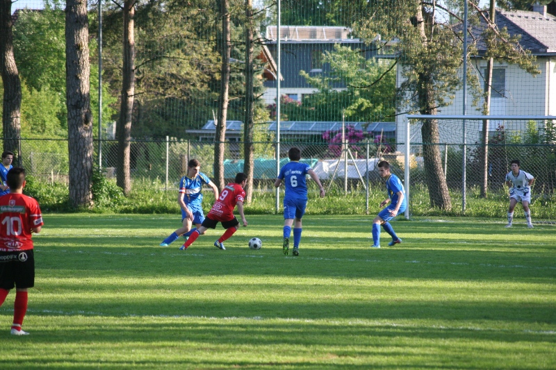 IMG_8501_JPG-1368625017