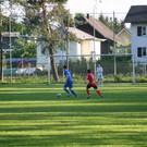 IMG_8513_JPG-1368625025
