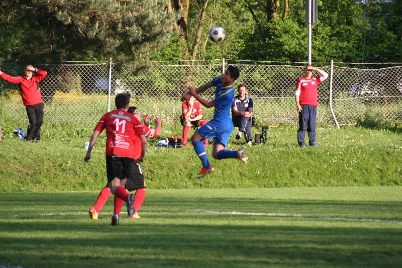 IMG_8527_JPG-1368625033
