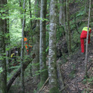 wucher rappenloch holz _6_.JPG