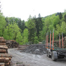 wucher rappenloch holz _17_.JPG