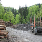 wucher rappenloch holz _18_.JPG