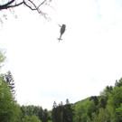wucher rappenloch holz _19_.JPG