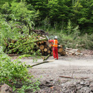 wucher rappenloch holz _31_.JPG