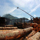 15052013gro_brands_gewerk_042.JPG