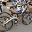 DSCN7990_JPG-1368636904